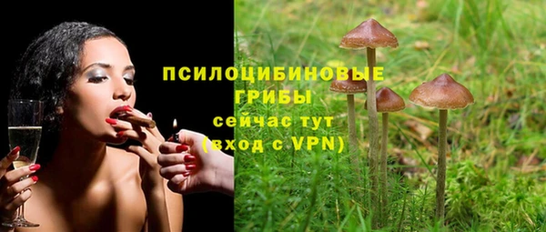 сатива Алексеевка